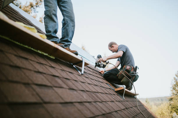 Professional Roofing Contractor in Lead, SD